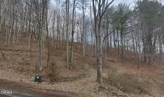 TBD June Apple Ln, Trade, TN 37691