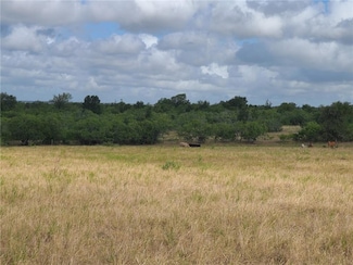 TBD 89 acres County Road 446, Waelder, TX 78959