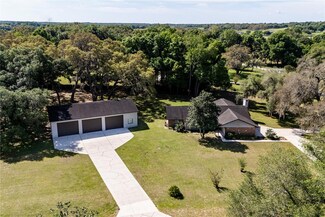 32141 Wolf Branch Ln, Sorrento, FL 32776