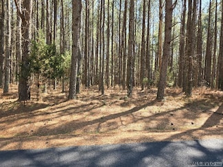 Lot 84 Granite Hall Dr, Boydton, VA 23917