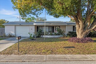 5039 Mecaslin Dr, New Port Richey, FL 34652