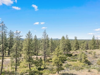 NKA W Anderson Rd, Cheney, WA 99004