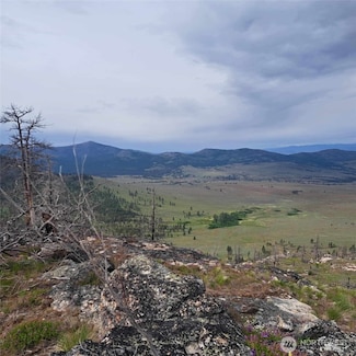 0 Lot 35 and 36, Tonasket, WA 98855