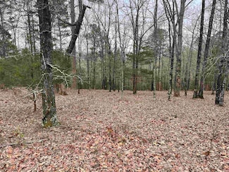 Lot 4 Diamond Bluff Rd, Quitman, AR 72131