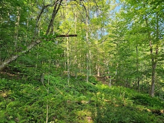 00 Cable Hollow Rd, Russell, PA 16345