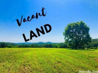 25401 Blue Gill Dr, Roland, AR 72135