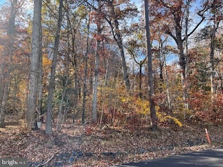 616 Mt Pleasant Dr, Locust Grove, VA 22508