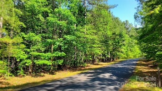 0 Loblolly Ln Unit 24 CAR4140733, Mill Spring, NC 28756