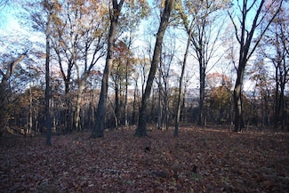 Lot 67 Mill Mountain Rd, Romney, WV 26757