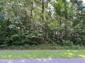 206 Colony Dr, Edenton, NC 27932