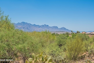 65873 E Desert Ridge Dr, Tucson, AZ 85739