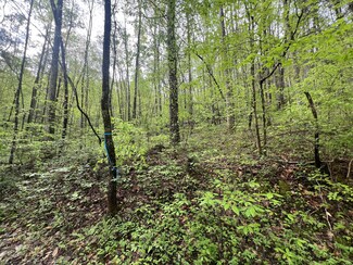 104 Bear Den Trail, Grandview, TN 37337