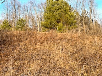 0 Thorn Apple Dr Unit 50287665, Wittenberg, WI 54499