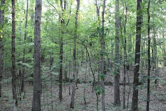999 White's Crossing Rd, Holly Springs, MS 38635