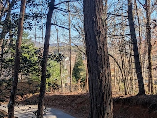 0 Ivylog Dr Unit 413720, Blairsville, GA 30512