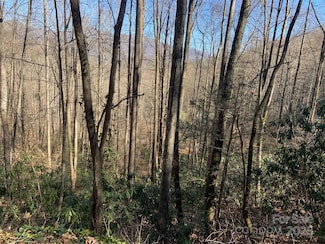 TR 6 Little Bit Trail, Whittier, NC 28789