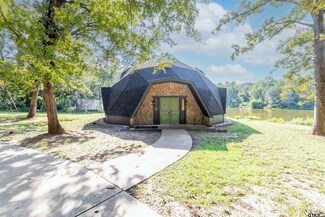 2447 County Road 1147 S, Tyler, TX 75704