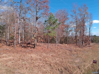 58 Raymond Ln, Southside, AL 35907