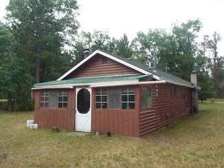 2428 Shaw Park Rd, Grayling, MI 49738
