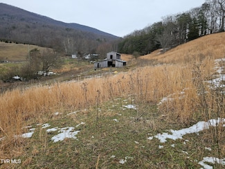 Tbd A P Carter Hwy, Hiltons, VA 24258