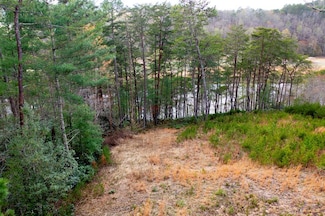 000 Mountain Watch Ln, Murphy, NC 28906