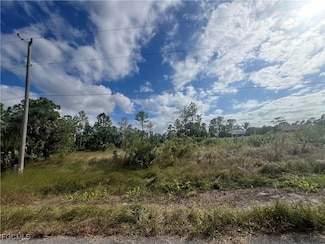 718 Chambers St E, Lehigh Acres, FL 33974