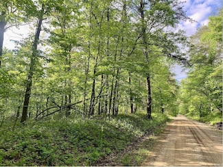 0 Scales Rd, Tennyson, IN 47637
