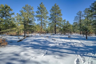 0 Rancho Escondido Lot 15, Weston, CO 81091