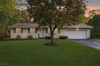 8111 Rushwood Ln, Northfield, OH 44067
