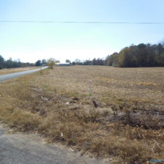 2381 County Road 369, Pisgah, AL 35765