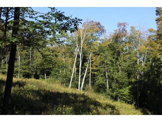 0 E Dover Rd, Wardsboro, VT 05355
