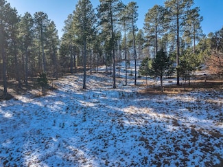 TBD James Dr, Sturgis, SD 57785