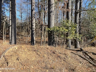 5038 Beaver Rd, Crossville, TN 38572