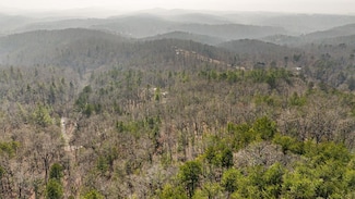 Old Mill Old Mill Rd, Mineral Bluff, GA 30559
