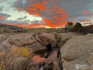 0 Camel Rock Rd Unit RECIR1047459, Red Feather Lakes, CO 80545