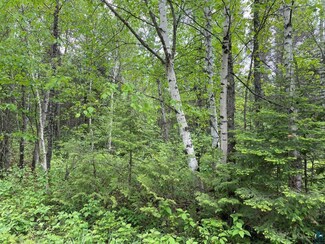 XXXX E General Grade Rd, Finland, MN 55603