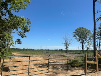 0 Bluitt Rd, Maben, MS 39750