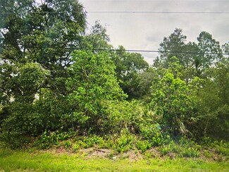 Lot 7 Nutmeg St, Wedgefield, FL 32833