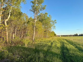 W6051 Berg Rd, Ogema, WI 54459