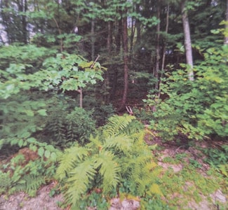 18 Robin Shore Dr, Canterbury, NH 03224