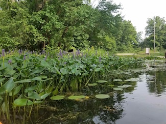 Tract 19 Lane 206 Fox Lake, Angola, IN 46737