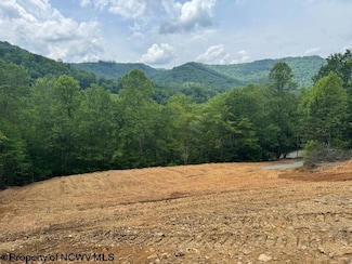 1511 Adolph Cassity Rd, Mabie, WV 26278