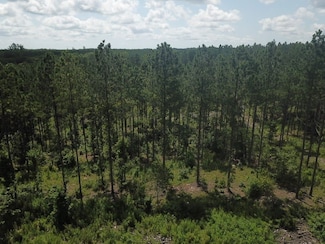 Hwy 9, Alexander City, AL 35010