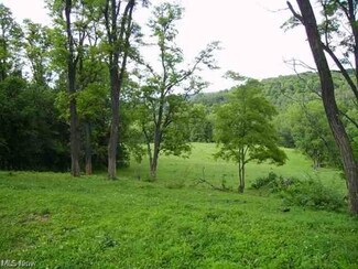 0 Frankfort Rd Unit 4298050, New Cumberland, WV 26047