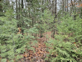 M5 L38 Winding Hill Rd, Norridgewock, ME 04957