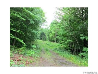 7774 Straight Rd, Springwater, NY 14560