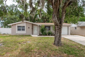 3601 Grayton Dr, New Port Richey, FL 34652