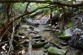 01 N Carolina 89 Unit Tract C (21ac), Danbury, NC 27016