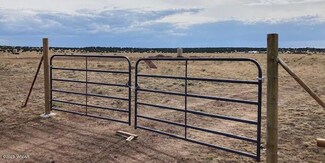 0 Parcel 107-53-146a Unit 248608, Concho, AZ 85924