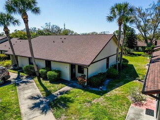 1340 Powderpuff Dr Unit 806, Dunedin, FL 34698